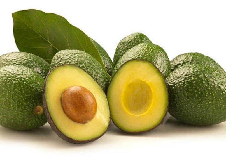 platinum-links-avocado-export-uganda-01